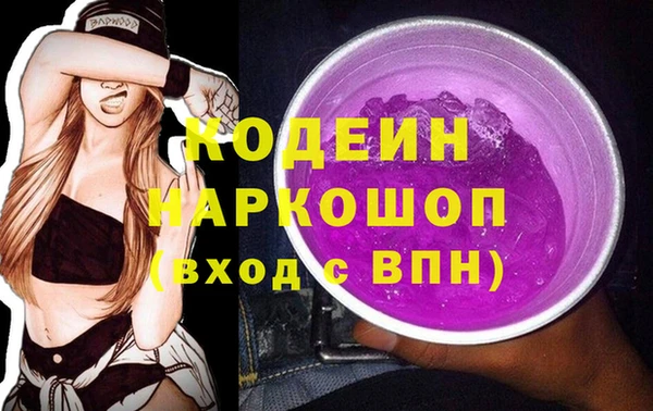 индика Вязники