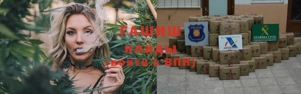 индика Вязники