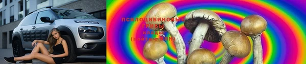 прущий лед Гусев