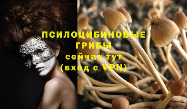 индика Вязники