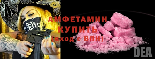 индика Вязники