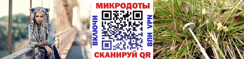 что такое   Дедовск  Галлюциногенные грибы прущие грибы 